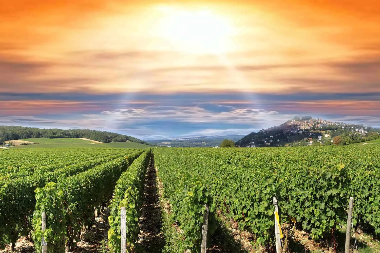 Sancerre